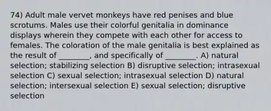 74) Adult male vervet monkeys have red penises and blue scrotums. Males use their colorful genitalia in dominance displays wherein they compete with each other for access to females. The coloration of the male genitalia is best explained as the result of ________, and specifically of ________. A) natural selection; stabilizing selection B) disruptive selection; intrasexual selection C) sexual selection; intrasexual selection D) natural selection; intersexual selection E) sexual selection; disruptive selection