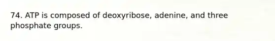 74. ATP is composed of deoxyribose, adenine, and three phosphate groups.