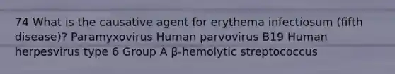 74 What is the causative agent for erythema infectiosum (fifth disease)? Paramyxovirus Human parvovirus B19 Human herpesvirus type 6 Group A β-hemolytic streptococcus