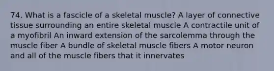 74. What is a fascicle of a skeletal muscle? A layer of connective tissue surrounding an entire skeletal muscle A contractile unit of a myofibril An inward extension of the sarcolemma through the muscle fiber A bundle of skeletal muscle fibers A motor neuron and all of the muscle fibers that it innervates