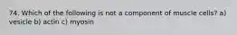 74. Which of the following is not a component of muscle cells? a) vesicle b) actin c) myosin