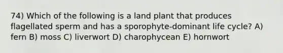 74) Which of the following is a land plant that produces flagellated sperm and has a sporophyte-dominant life cycle? A) fern B) moss C) liverwort D) charophycean E) hornwort