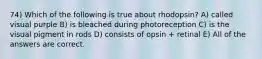 74) Which of the following is true about rhodopsin? A) called visual purple B) is bleached during photoreception C) is the visual pigment in rods D) consists of opsin + retinal E) All of the answers are correct.