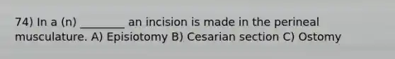 74) In a (n) ________ an incision is made in the perineal musculature. A) Episiotomy B) Cesarian section C) Ostomy