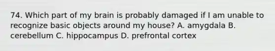 74. Which part of my brain is probably damaged if I am unable to recognize basic objects around my house? A. amygdala B. cerebellum C. hippocampus D. prefrontal cortex