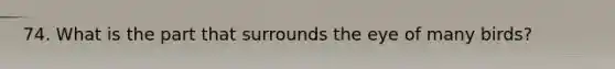 74. What is the part that surrounds the eye of many birds?