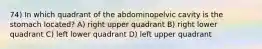 74) In which quadrant of the abdominopelvic cavity is the stomach located? A) right upper quadrant B) right lower quadrant C) left lower quadrant D) left upper quadrant