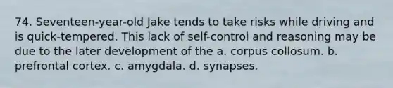 74. Seventeen-year-old Jake tends to take risks while driving and is quick-tempered. This lack of self-control and reasoning may be due to the later development of the a. corpus collosum. b. prefrontal cortex. c. amygdala. d. synapses.