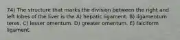 74) The structure that marks the division between the right and left lobes of the liver is the A) hepatic ligament. B) ligamentum teres. C) lesser omentum. D) greater omentum. E) falciform ligament.