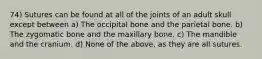 74) Sutures can be found at all of the joints of an adult skull except between a) The occipital bone and the parietal bone. b) The zygomatic bone and the maxillary bone. c) The mandible and the cranium. d) None of the above, as they are all sutures.