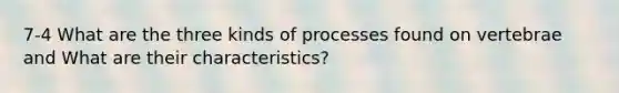 7-4 What are the three kinds of processes found on vertebrae and What are their characteristics?