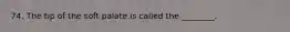 74. The tip of the soft palate is called the ________.