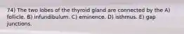 74) The two lobes of the thyroid gland are connected by the A) follicle. B) infundibulum. C) eminence. D) isthmus. E) gap junctions.