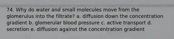 74. Why do water and small molecules move from the glomerulus into the filtrate? a. diffusion down the concentration gradient b. glomerular <a href='https://www.questionai.com/knowledge/kD0HacyPBr-blood-pressure' class='anchor-knowledge'>blood pressure</a> c. active transport d. secretion e. diffusion against the concentration gradient