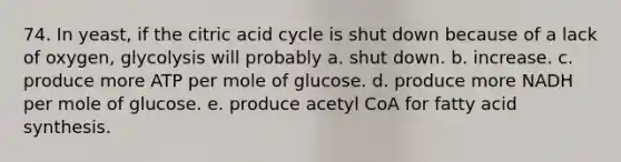 74. In yeast, if the citric acid cycle is shut down because of a lack of oxygen, glycolysis will probably a. shut down. b. increase. c. produce more ATP per mole of glucose. d. produce more NADH per mole of glucose. e. produce acetyl CoA for fatty acid synthesis.