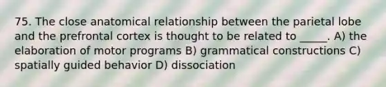 75. The close anatomical relationship between the parietal lobe and the prefrontal cortex is thought to be related to _____. A) the elaboration of motor programs B) grammatical constructions C) spatially guided behavior D) dissociation