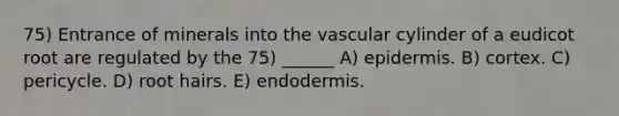 75) Entrance of minerals into the vascular cylinder of a eudicot root are regulated by the 75) ______ A) epidermis. B) cortex. C) pericycle. D) root hairs. E) endodermis.