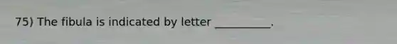 75) The fibula is indicated by letter __________.