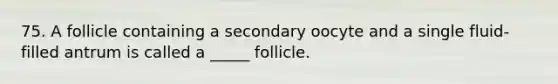 75. A follicle containing a secondary oocyte and a single fluid-filled antrum is called a _____ follicle.