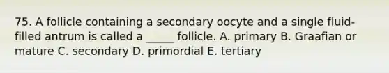 75. A follicle containing a secondary oocyte and a single fluid-filled antrum is called a _____ follicle. A. primary B. Graafian or mature C. secondary D. primordial E. tertiary