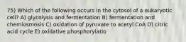 75) Which of the following occurs in the cytosol of a eukaryotic cell? A) glycolysis and fermentation B) fermentation and chemiosmosis C) oxidation of pyruvate to acetyl CoA D) citric acid cycle E) oxidative phosphorylatio