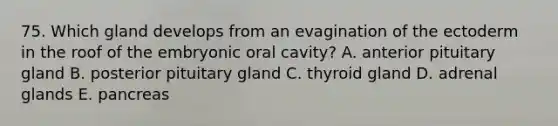 75. Which gland develops from an evagination of the ectoderm in the roof of the embryonic oral cavity? A. anterior pituitary gland B. posterior pituitary gland C. thyroid gland D. adrenal glands E. pancreas