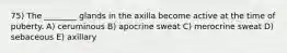 75) The ________ glands in the axilla become active at the time of puberty. A) ceruminous B) apocrine sweat C) merocrine sweat D) sebaceous E) axillary