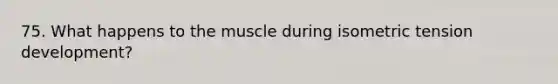 75. What happens to the muscle during isometric tension development?