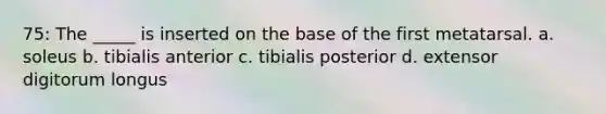 75: The _____ is inserted on the base of the first metatarsal. a. soleus b. tibialis anterior c. tibialis posterior d. extensor digitorum longus