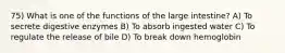 75) What is one of the functions of the large intestine? A) To secrete digestive enzymes B) To absorb ingested water C) To regulate the release of bile D) To break down hemoglobin