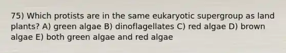 75) Which protists are in the same eukaryotic supergroup as land plants? A) green algae B) dinoflagellates C) red algae D) brown algae E) both green algae and red algae