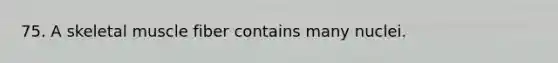 75. A skeletal muscle fiber contains many nuclei.
