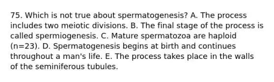 75. Which is not true about spermatogenesis? A. The process includes two meiotic divisions. B. The final stage of the process is called spermiogenesis. C. Mature spermatozoa are haploid (n=23). D. Spermatogenesis begins at birth and continues throughout a man's life. E. The process takes place in the walls of the seminiferous tubules.