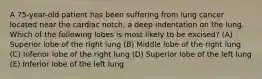 A 75-year-old patient has been suffering from lung cancer located near the cardiac notch, a deep indentation on the lung. Which of the following lobes is most likely to be excised? (A) Superior lobe of the right lung (B) Middle lobe of the right lung (C) Inferior lobe of the right lung (D) Superior lobe of the left lung (E) Inferior lobe of the left lung