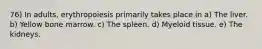 76) In adults, erythropoiesis primarily takes place in a) The liver. b) Yellow bone marrow. c) The spleen. d) Myeloid tissue. e) The kidneys.