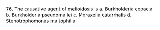 76. The causative agent of melioidosis is a. Burkholderia cepacia b. Burkholderia pseudomallei c. Moraxella catarrhalis d. Stenotrophomonas maltophilia