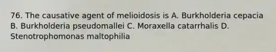 76. The causative agent of melioidosis is A. Burkholderia cepacia B. Burkholderia pseudomallei C. Moraxella catarrhalis D. Stenotrophomonas maltophilia