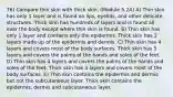 76) Compare thin skin with thick skin. (Module 5.2A) A) Thin skin has only 1 layer and is found on lips, eyelids, and other delicate structures. Thick skin has hundreds of layers and is found all over the body except where thin skin is found. B) Thin skin has only 1 layer and contains only the epidermis. Thick skin has 2 layers made up of the epidermis and dermis. C) Thin skin has 4 layers and covers most of the body surfaces. Thick skin has 5 layers and covers the palms of the hands and soles of the feet. D) Thin skin has 4 layers and covers the palms of the hands and soles of the feet. Thick skin has 4 layers and covers most of the body surfaces. E) Thin skin contains the epidermis and dermis but not the subcutaneous layer. Thick skin contains the epidermis, dermis and subcutaneous layer.