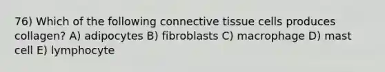 76) Which of the following connective tissue cells produces collagen? A) adipocytes B) fibroblasts C) macrophage D) mast cell E) lymphocyte