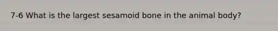 7-6 What is the largest sesamoid bone in the animal body?