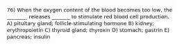 76) When the oxygen content of the blood becomes too low, the ________ releases _______ to stimulate red blood cell production. A) pituitary gland; follicle-stimulating hormone B) kidney; erythropoietin C) thyroid gland; thyroxin D) stomach; gastrin E) pancreas; insulin