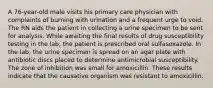 A 76-year-old male visits his primary care physician with complaints of burning with urination and a frequent urge to void. The RN aids the patient in collecting a urine specimen to be sent for analysis. While awaiting the final results of drug susceptibility testing in the lab, the patient is prescribed oral sulfasoxazole. In the lab, the urine specimen is spread on an agar plate with antibiotic discs placed to determine antimicrobial susceptibility. The zone of inhibition was small for amoxicillin. These results indicate that the causative organism was resistant to amoxicillin.