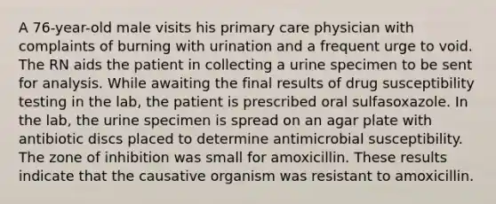 A 76-year-old male visits his primary care physician with complaints of burning with urination and a frequent urge to void. The RN aids the patient in collecting a urine specimen to be sent for analysis. While awaiting the final results of drug susceptibility testing in the lab, the patient is prescribed oral sulfasoxazole. In the lab, the urine specimen is spread on an agar plate with antibiotic discs placed to determine antimicrobial susceptibility. The zone of inhibition was small for amoxicillin. These results indicate that the causative organism was resistant to amoxicillin.