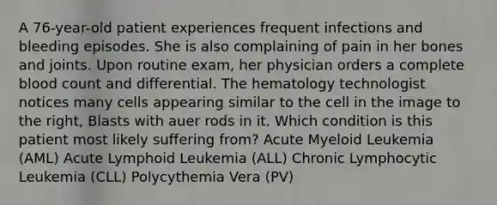 A 76-year-old patient experiences frequent infections and bleeding episodes. She is also complaining of pain in her bones and joints. Upon routine exam, her physician orders a complete blood count and differential. The hematology technologist notices many cells appearing similar to the cell in the image to the right, Blasts with auer rods in it. Which condition is this patient most likely suffering from? Acute Myeloid Leukemia (AML) Acute Lymphoid Leukemia (ALL) Chronic Lymphocytic Leukemia (CLL) Polycythemia Vera (PV)