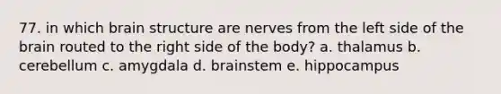 77. in which brain structure are nerves from the left side of the brain routed to the right side of the body? a. thalamus b. cerebellum c. amygdala d. brainstem e. hippocampus