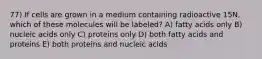 77) If cells are grown in a medium containing radioactive 15N, which of these molecules will be labeled? A) fatty acids only B) nucleic acids only C) proteins only D) both fatty acids and proteins E) both proteins and nucleic acids