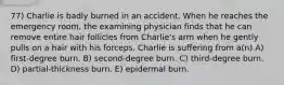 77) Charlie is badly burned in an accident. When he reaches the emergency room, the examining physician finds that he can remove entire hair follicles from Charlie's arm when he gently pulls on a hair with his forceps. Charlie is suffering from a(n) A) first-degree burn. B) second-degree burn. C) third-degree burn. D) partial-thickness burn. E) epidermal burn.