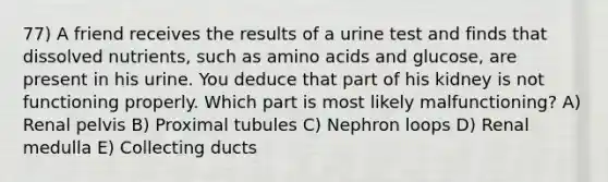 77) A friend receives the results of a urine test and finds that dissolved nutrients, such as <a href='https://www.questionai.com/knowledge/k9gb720LCl-amino-acids' class='anchor-knowledge'>amino acids</a> and glucose, are present in his urine. You deduce that part of his kidney is not functioning properly. Which part is most likely malfunctioning? A) Renal pelvis B) Proximal tubules C) Nephron loops D) Renal medulla E) Collecting ducts