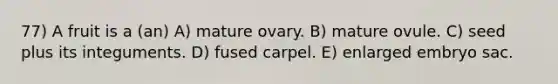 77) A fruit is a (an) A) mature ovary. B) mature ovule. C) seed plus its integuments. D) fused carpel. E) enlarged embryo sac.