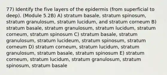 77) Identify the five layers of the epidermis (from superficial to deep). (Module 5.2B) A) stratum basale, stratum spinosum, stratum granulosum, stratum lucidum, and stratum corneum B) stratum basale, stratum granulosum, stratum lucidum, stratum corneum, stratum spinosum C) stratum basale, stratum granulosum, stratum lucideum, stratum spinosum, stratum corneum D) stratum corneum, stratum lucidum, stratum granulosum, stratum basale, stratum spinosum E) stratum corneum, stratum lucidum, stratum granulosum, stratum spinosum, stratum basale